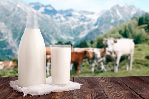 تصویر 5 از خرید دوغ میهن + قیمت فروش استثنایی و عمده